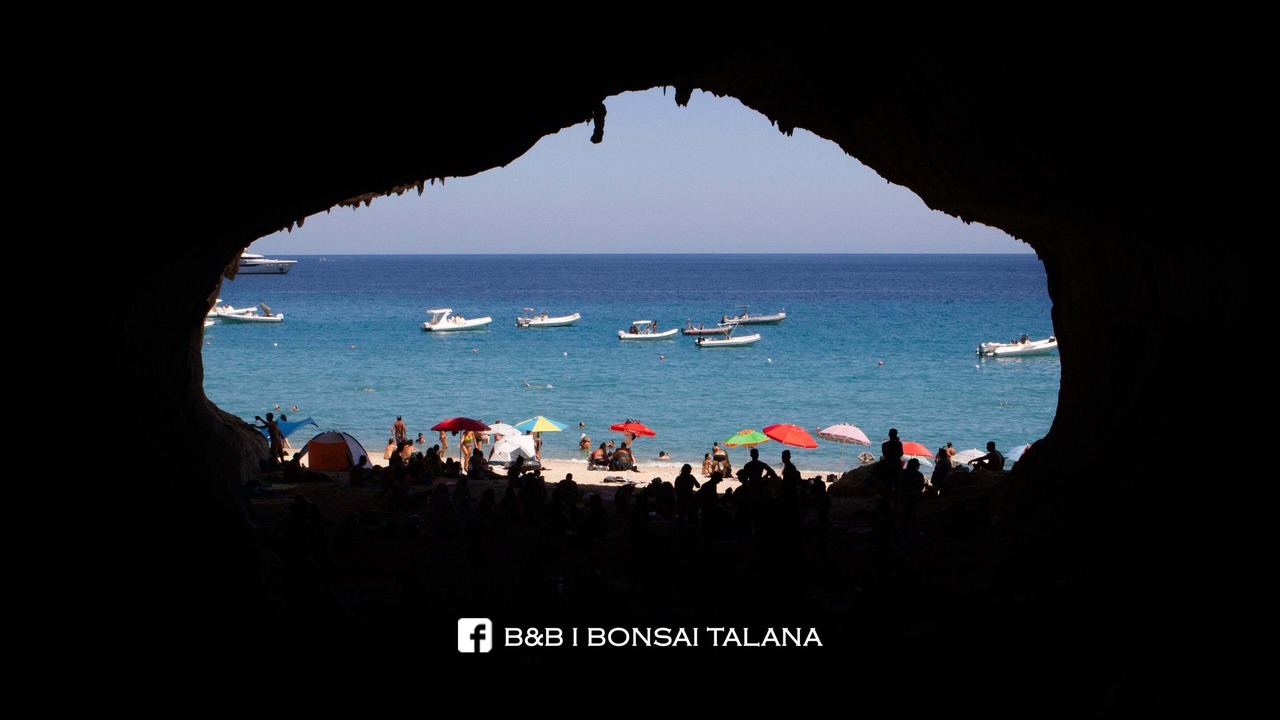 Photo of Others in Talana