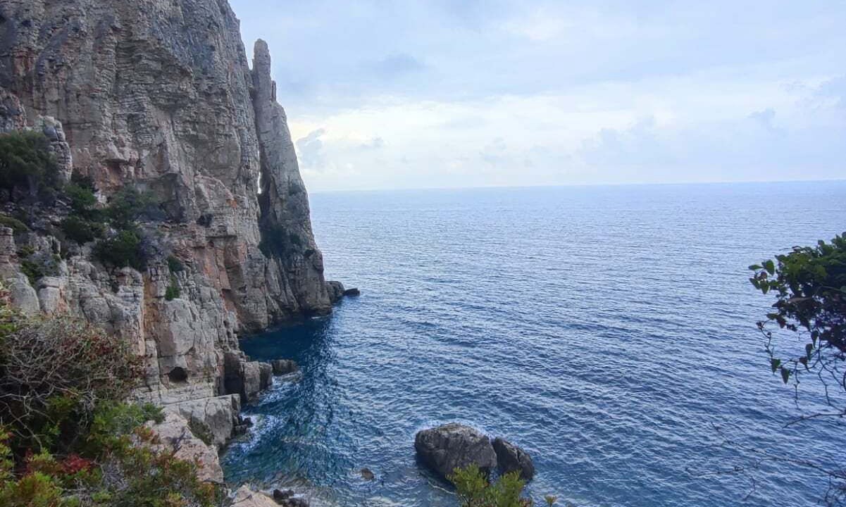 Photo of Others in Talana