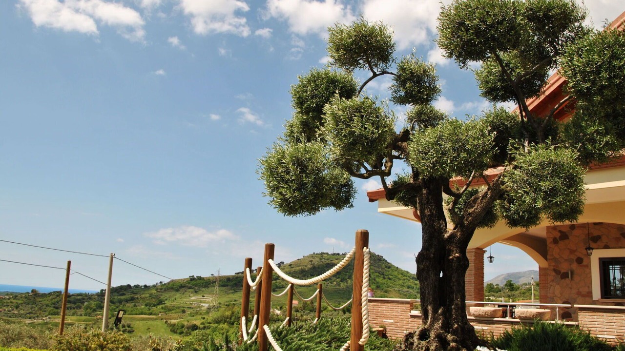 Photo of Others in Spigno Saturnia