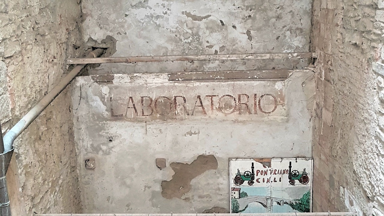 Photo of Others in Quartiere di Porta Crucifera