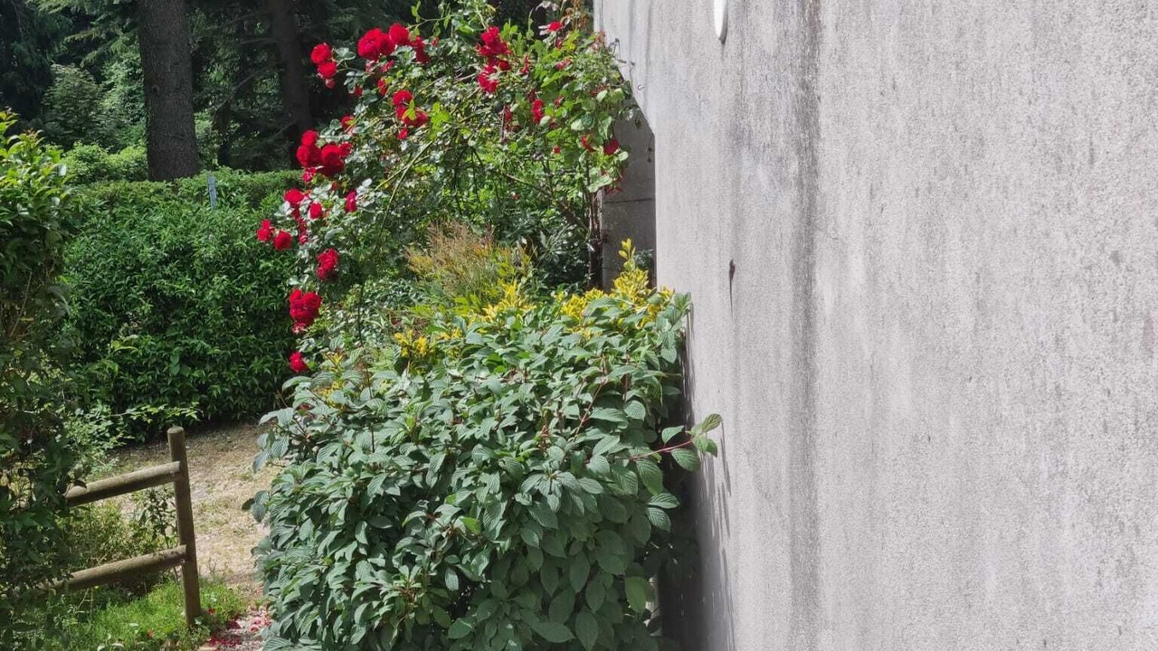 Photo of Outdoor in Romano d'Ezzelino