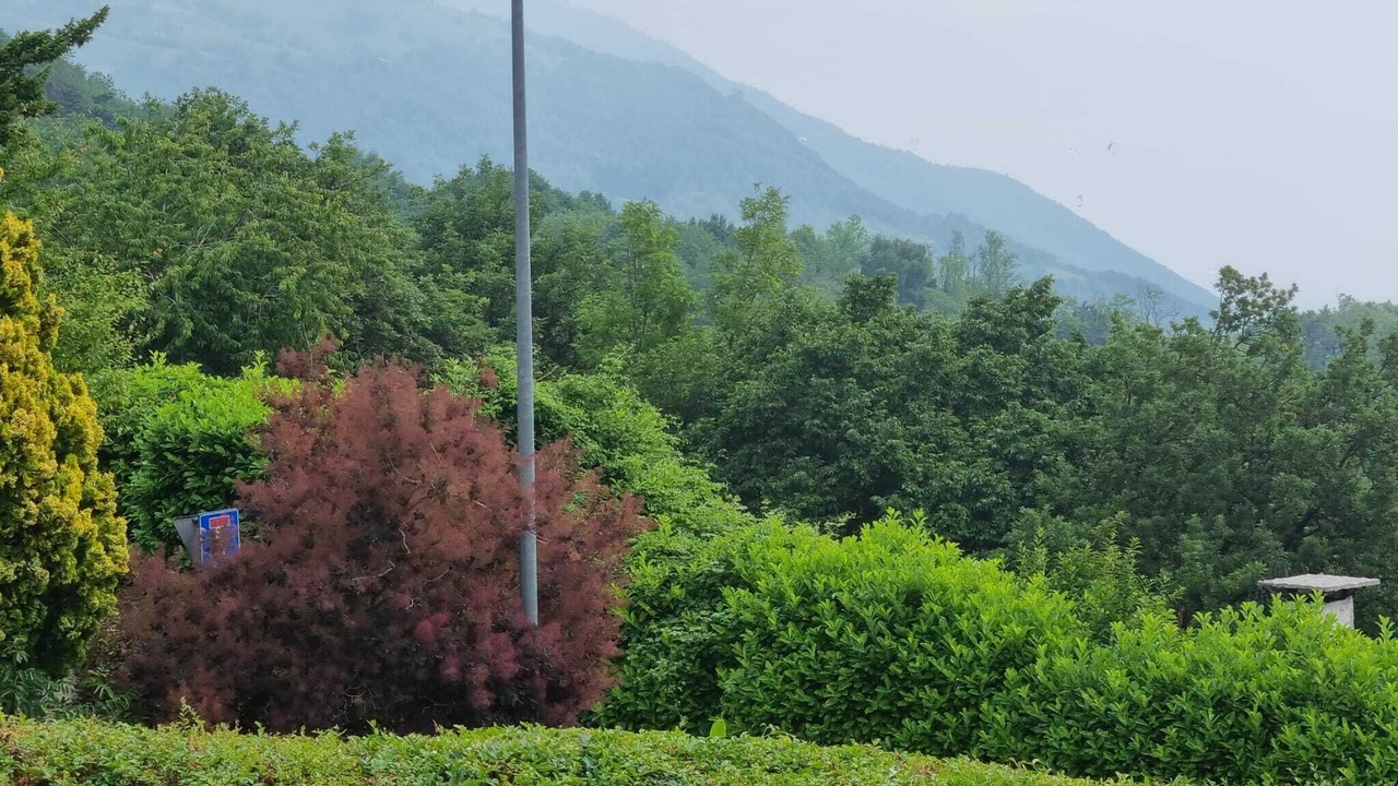 Photo of Outdoor in Romano d'Ezzelino