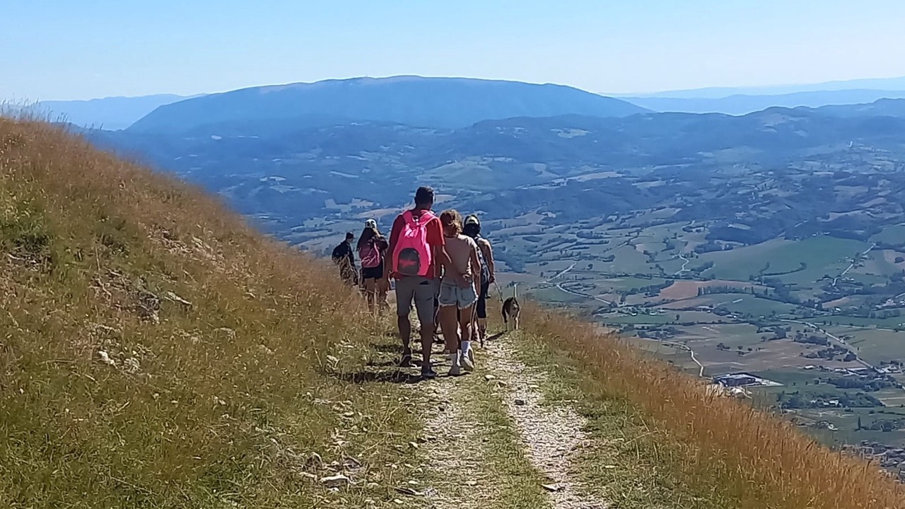 Photo of Outdoor in Colpetrazzo