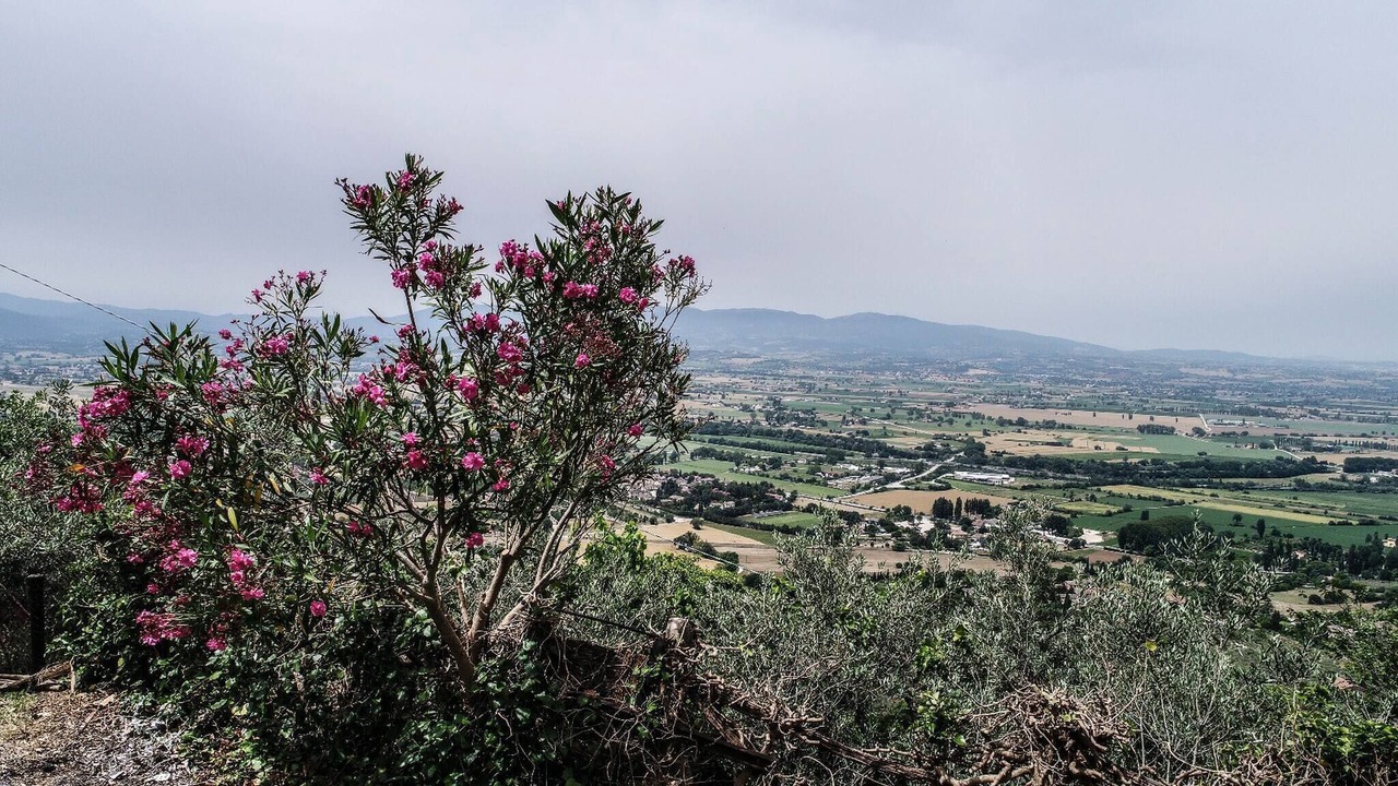 Photo of Others in Campello sul Clitunno