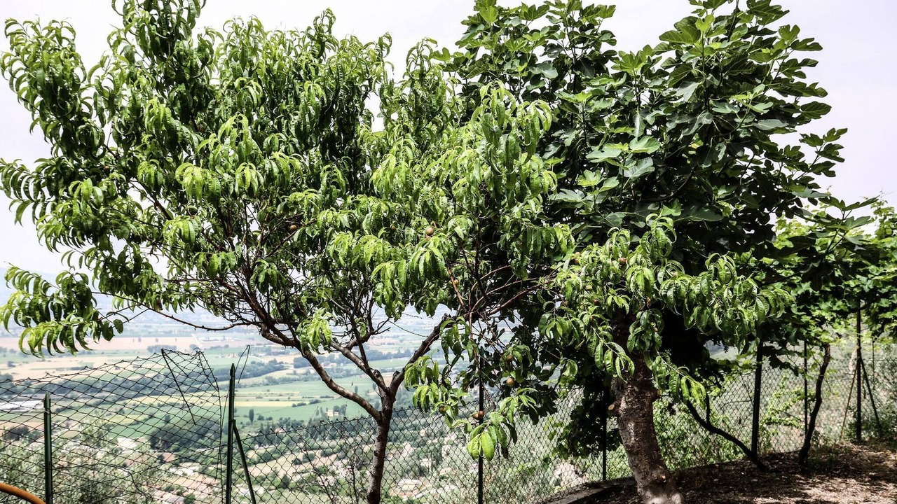 Photo of Outdoor in Campello sul Clitunno