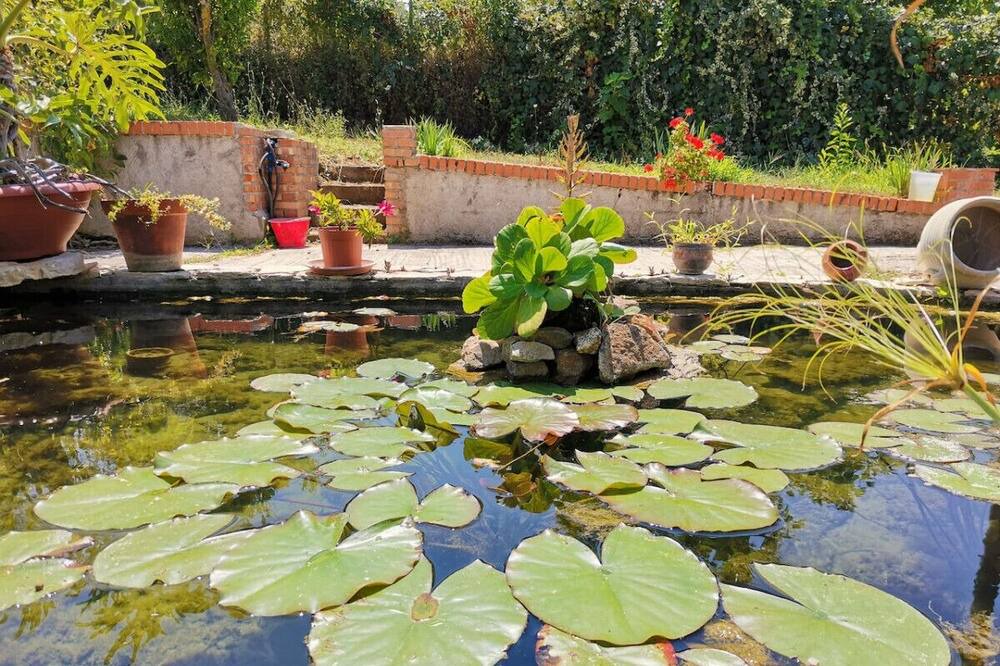 Photo of Outdoor in Briatico
