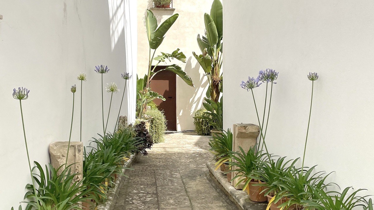 Photo of Outdoor in Galatina Historic Centre
