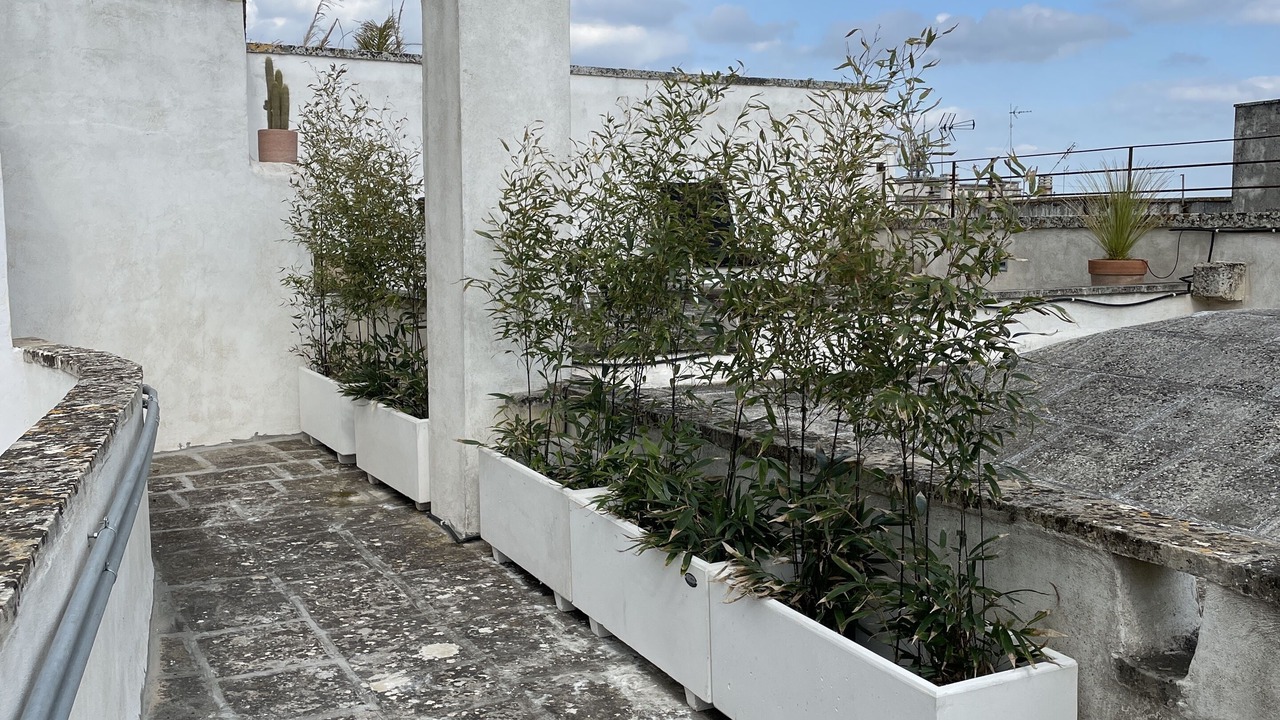 Photo of Outdoor in Galatina Historic Centre