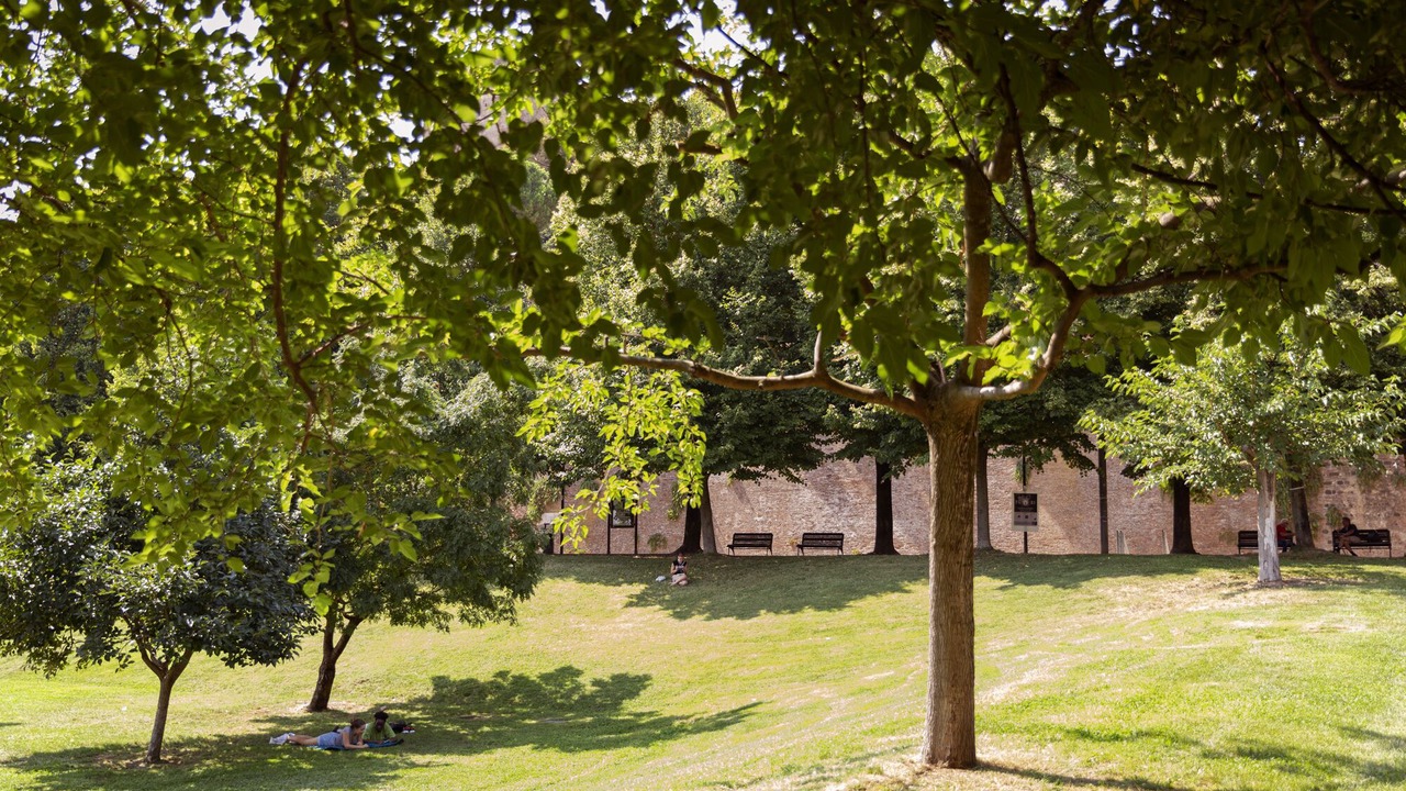 Photo of Others in Santarcangelo di Romagna