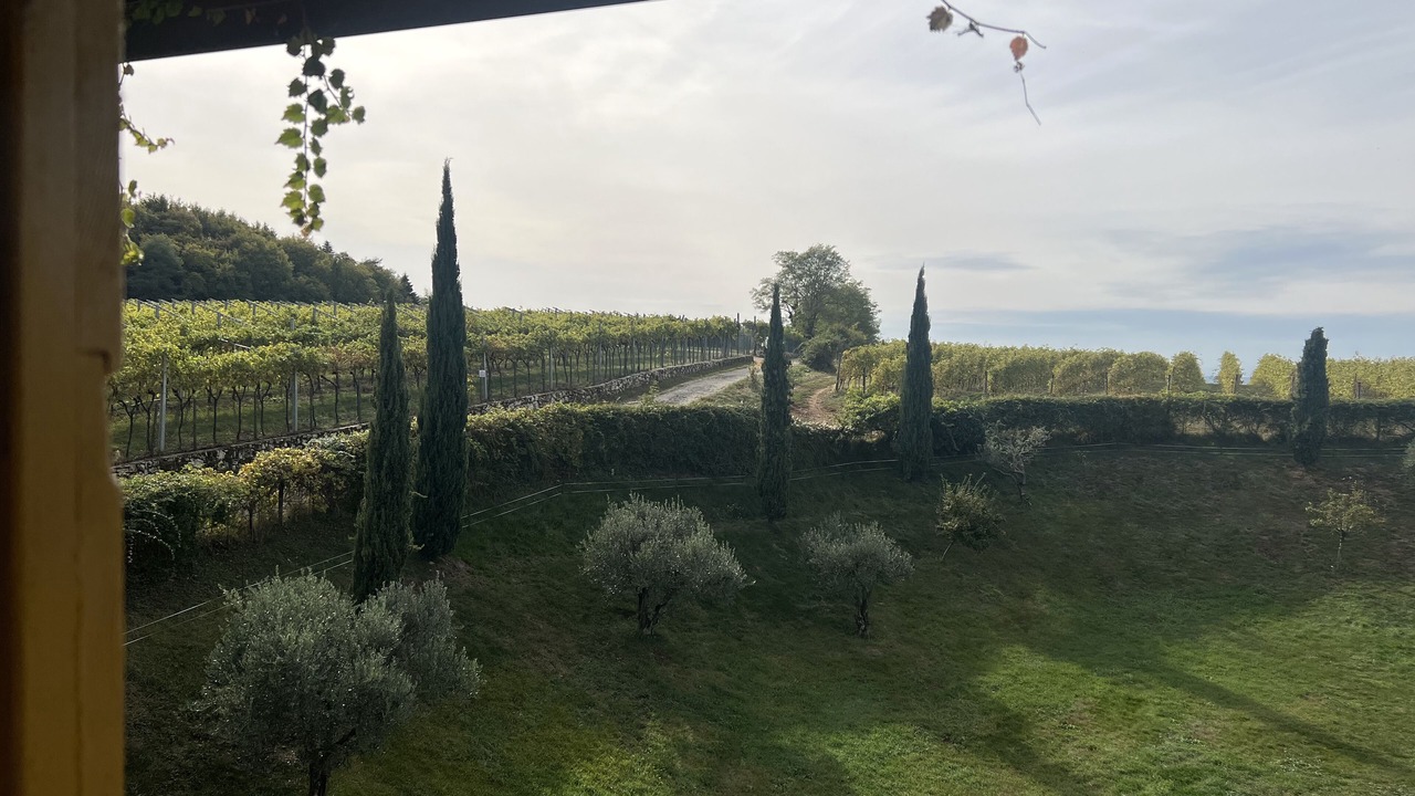 Photo of Outdoor in Negrar