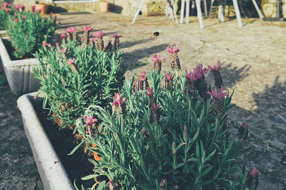 Photo of Outdoor in Bagnone