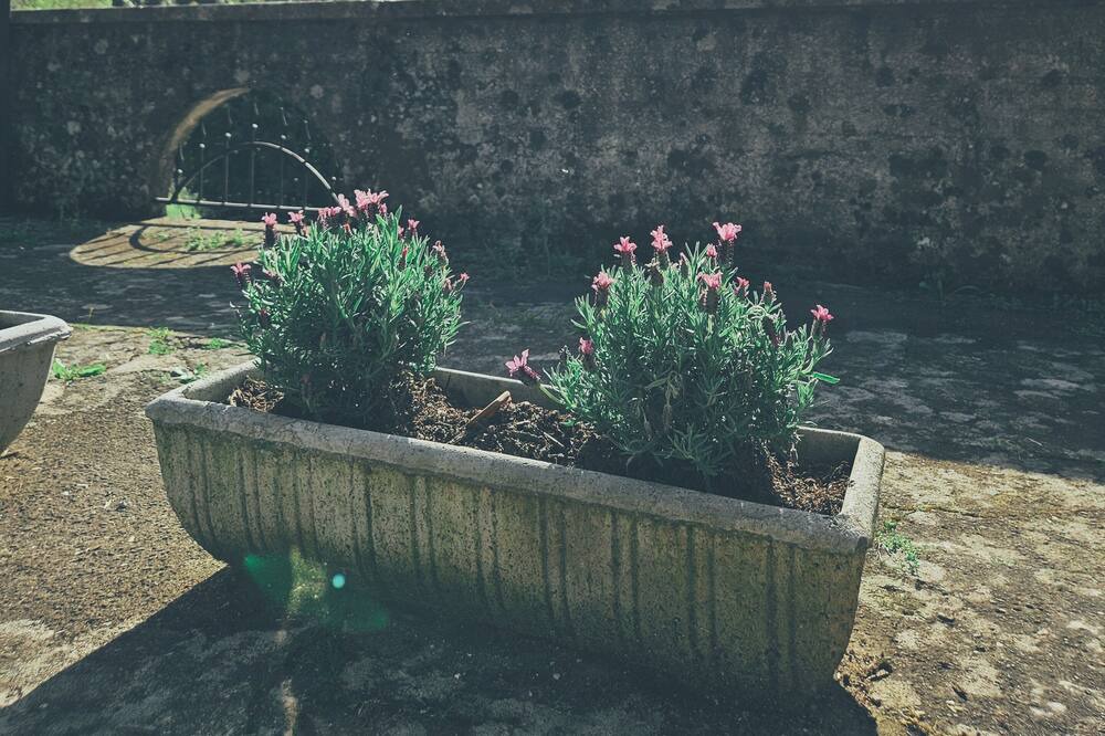 Photo of Outdoor in Bagnone