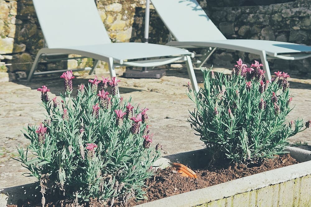 Photo of Outdoor in Bagnone
