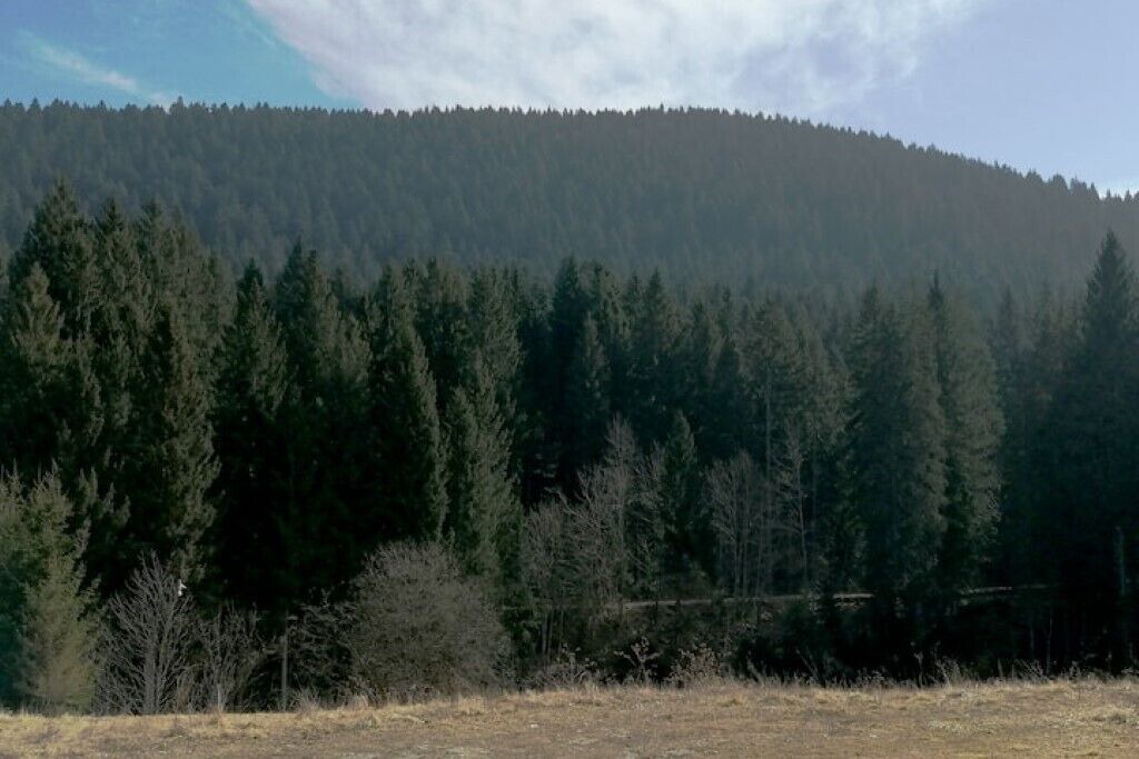 Photo of Outdoor in Cesuna di Roana