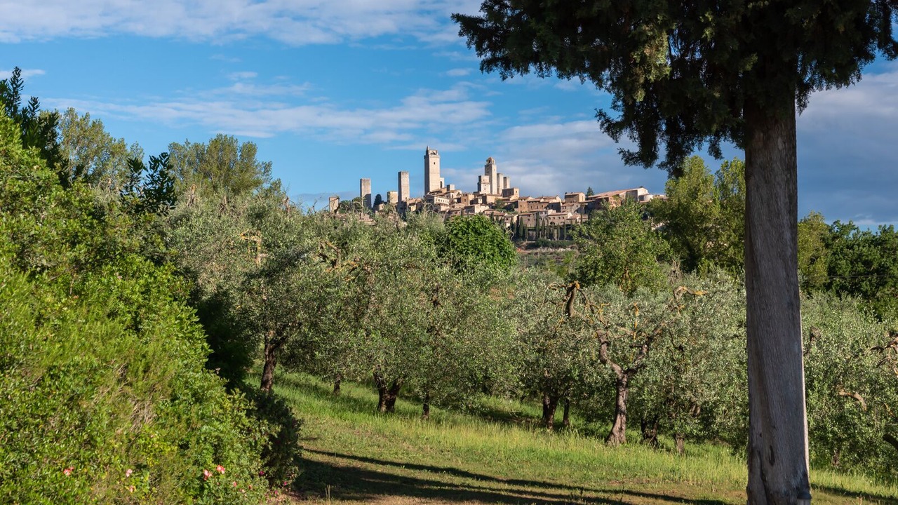 Photo of Others in San Gimignano