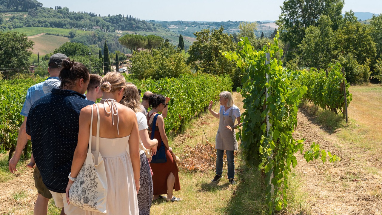 Photo of Others in San Gimignano