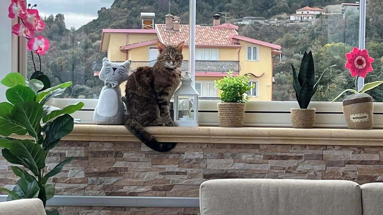 Photo of Patio Balcony in Cotronei