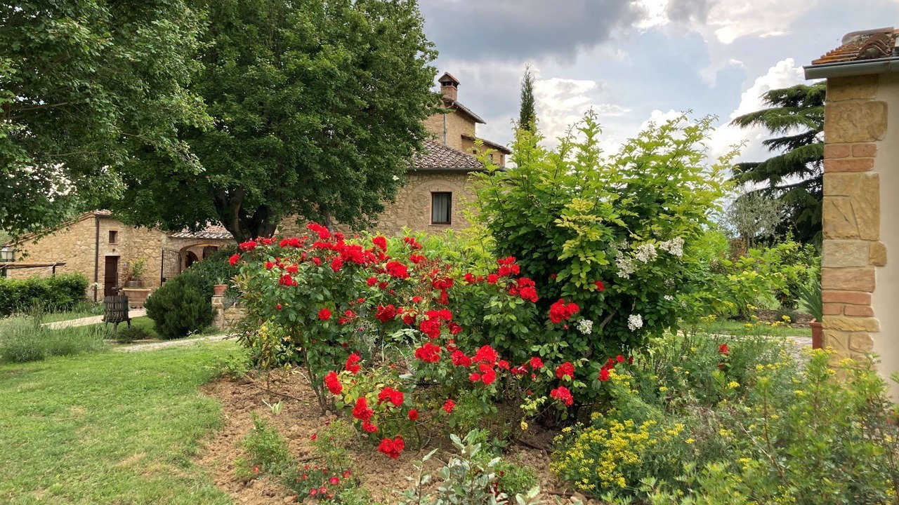 Photo of Outdoor in Montefollonico
