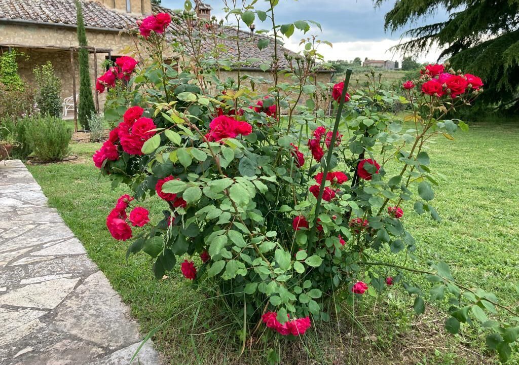 Photo of Outdoor in Montefollonico