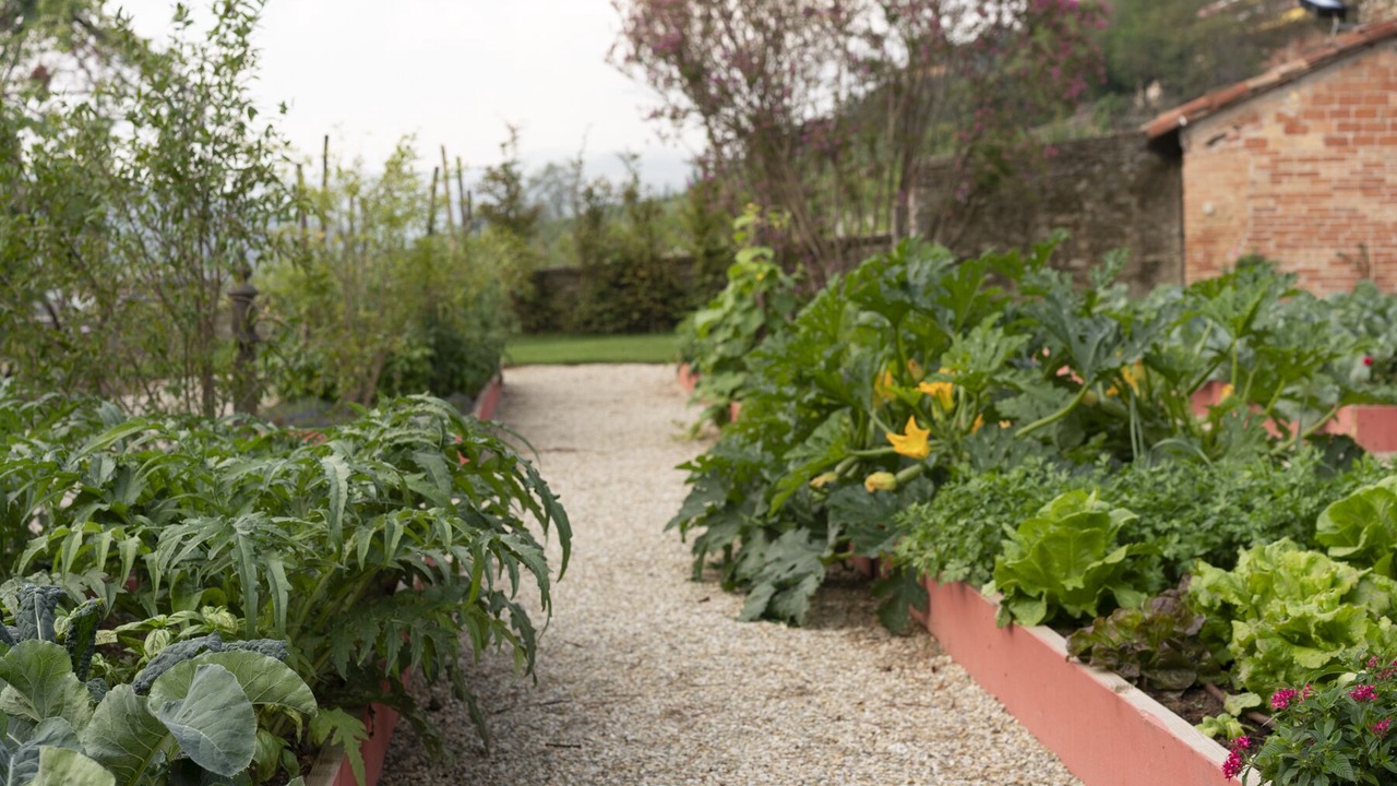 Photo of Outdoor in Santo Stefano Belbo