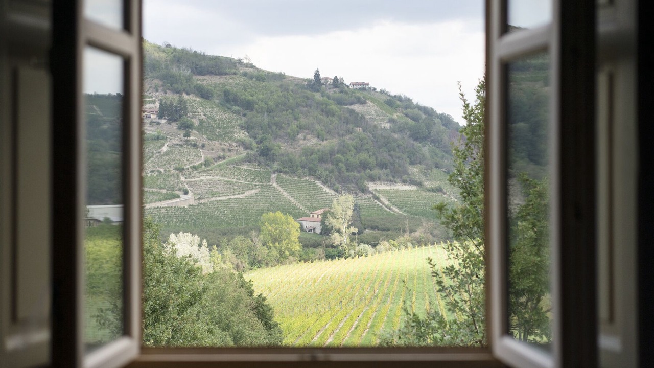 Photo of Bedroom in Santo Stefano Belbo