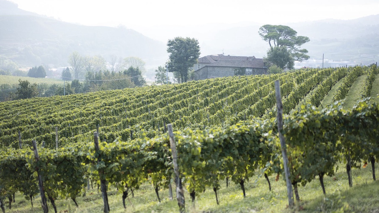 Photo of Outdoor in Santo Stefano Belbo