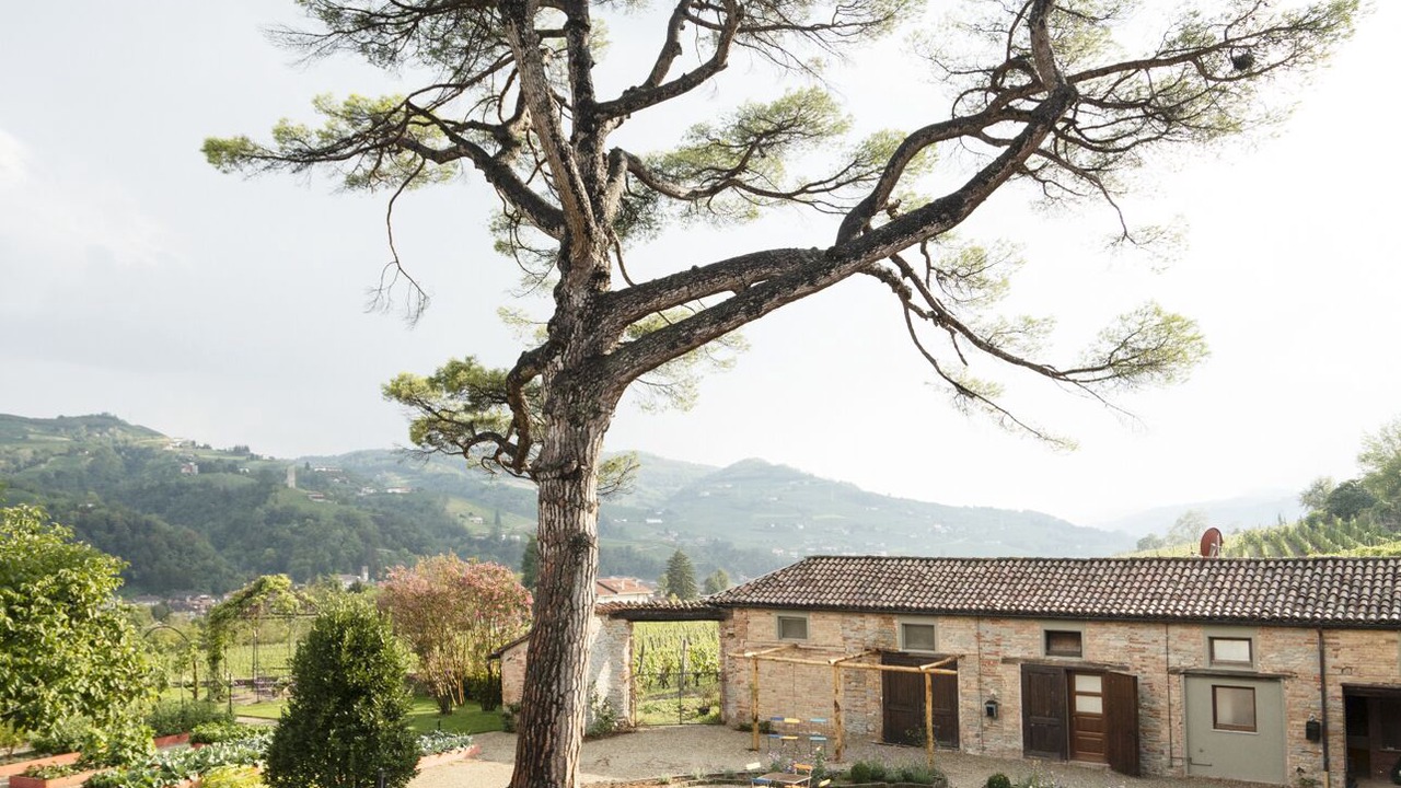Photo of Outdoor in Santo Stefano Belbo
