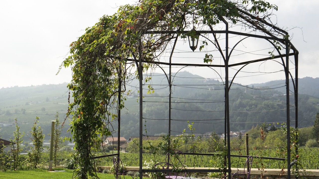 Photo of Outdoor in Santo Stefano Belbo