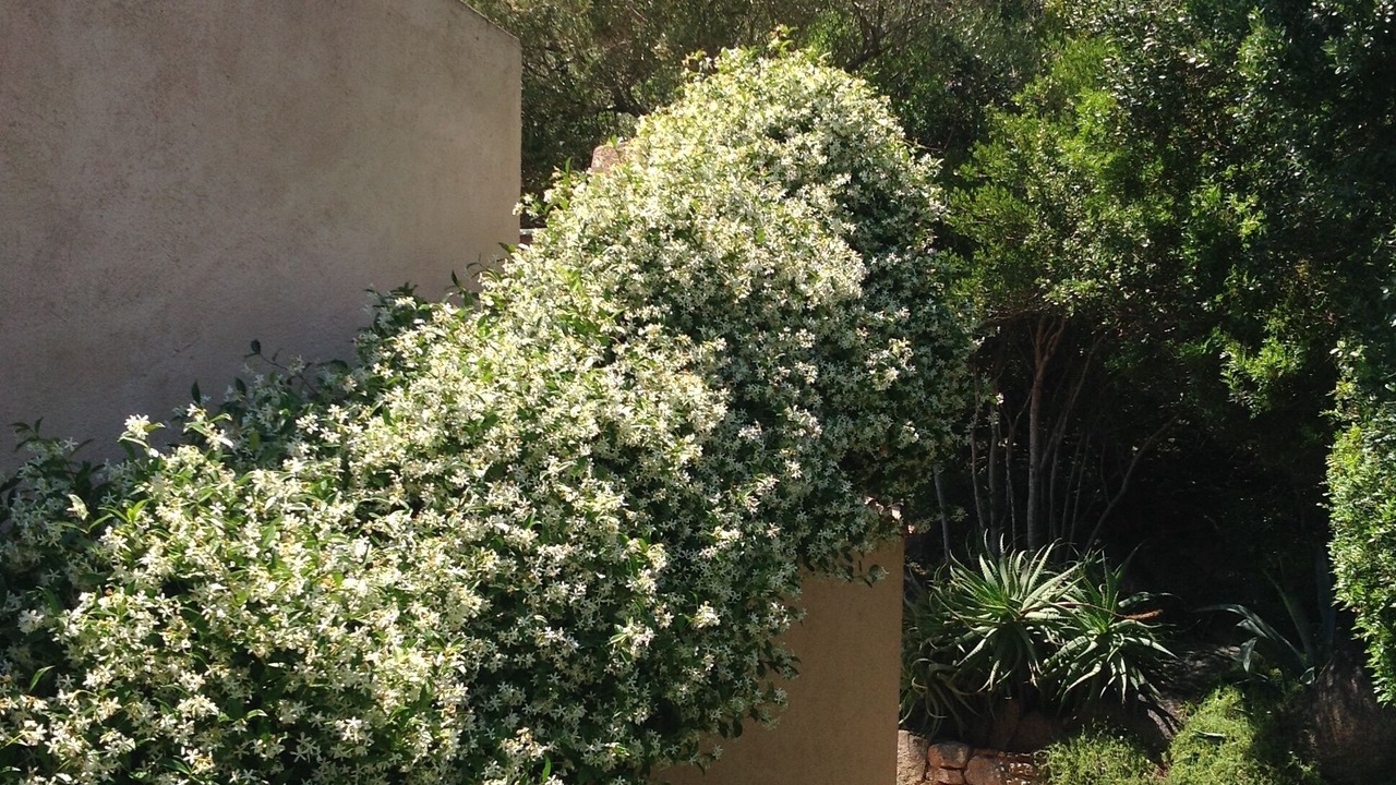 Photo of Outdoor in Punta Sardegna
