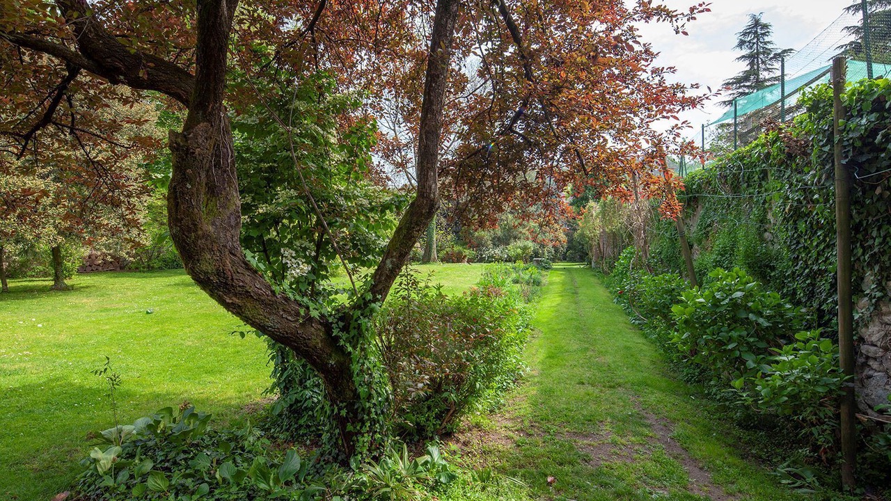 Photo of Outdoor in Azzate