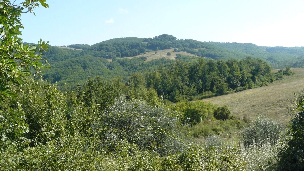 Photo of Outdoor in Doglio