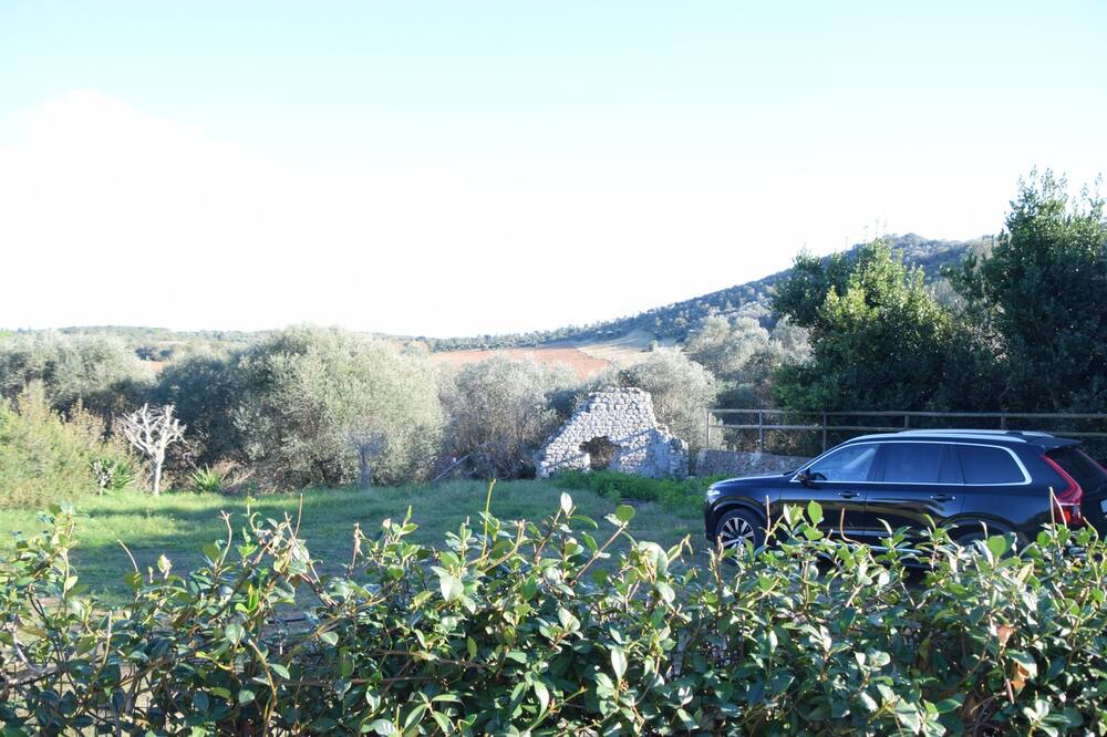 Photo of Others in Ansedonia