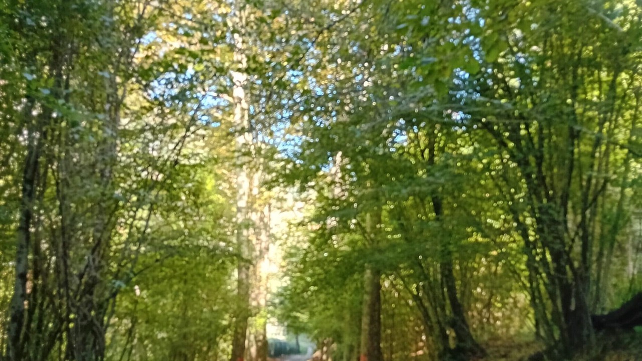 Photo of Outdoor in Gallicano
