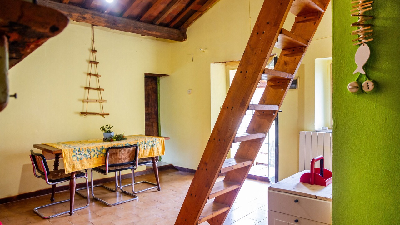 Photo of Others in Campagnatico