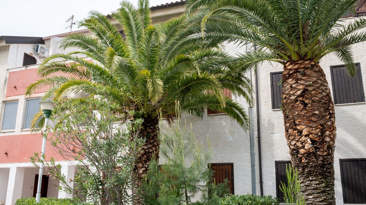Photo of Outdoor in Falerna