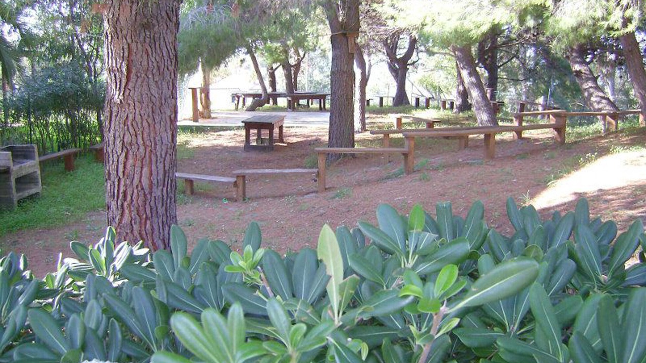 Photo of Outdoor in Falerna
