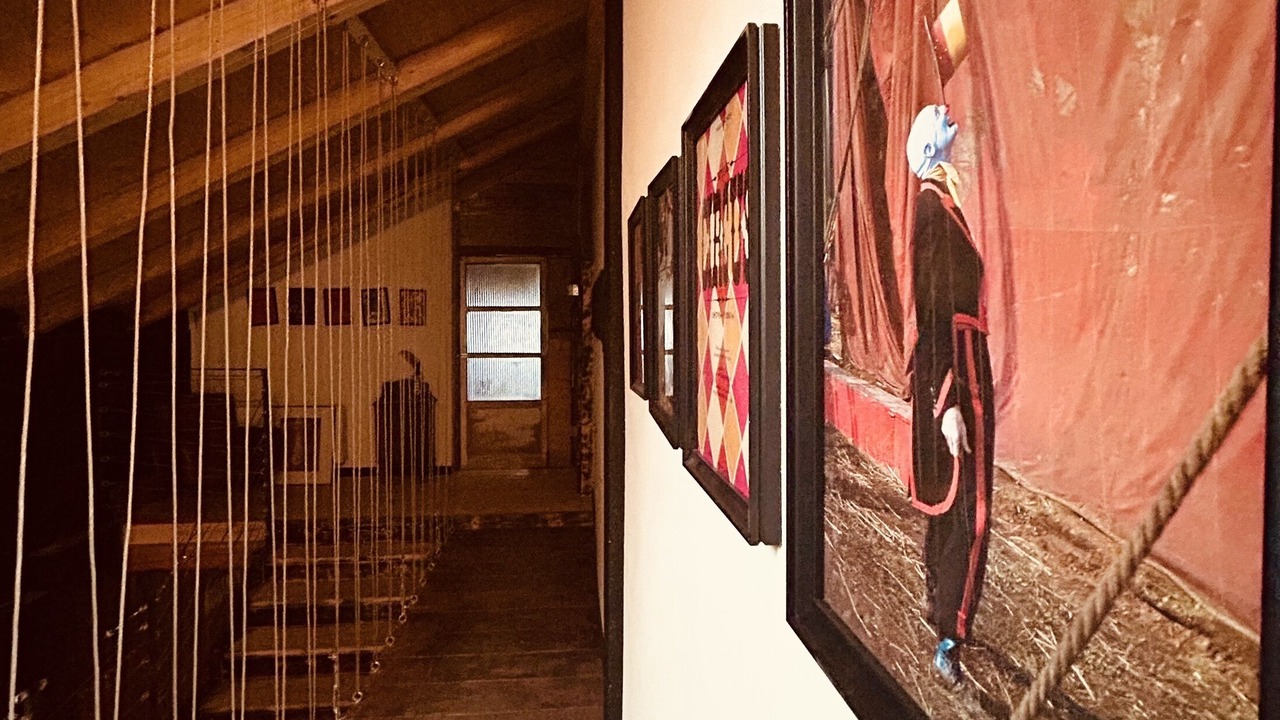 Photo of Others in Cortandone