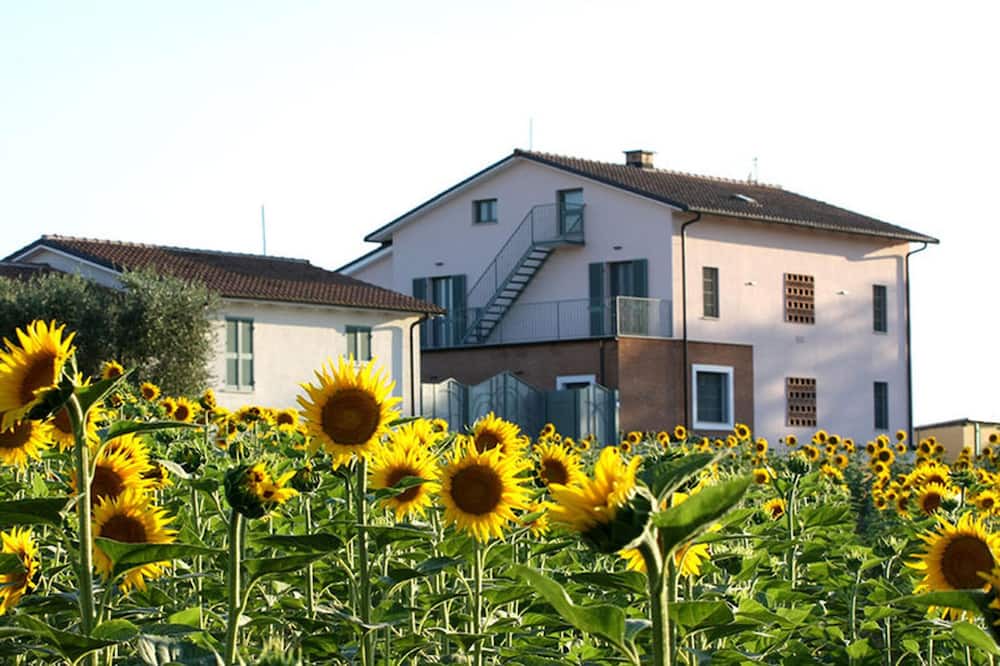 Photo of Others in Montecastrilli
