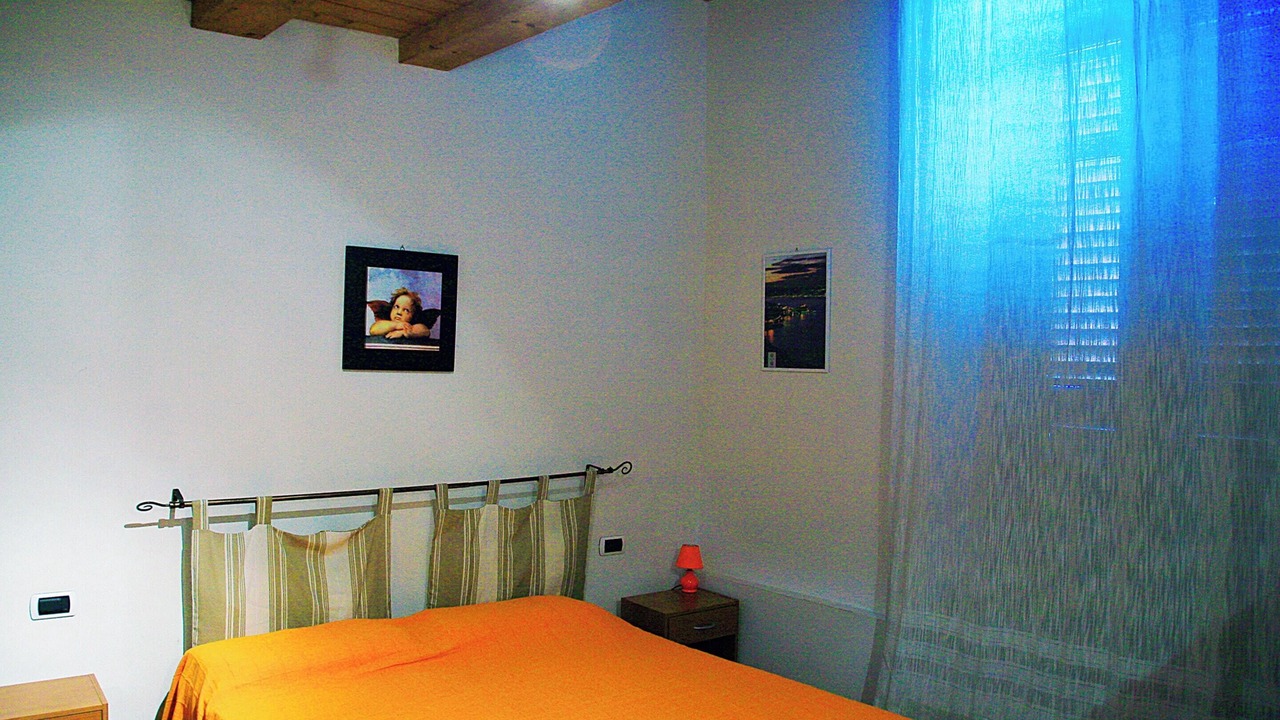 Photo of Others in Scilla