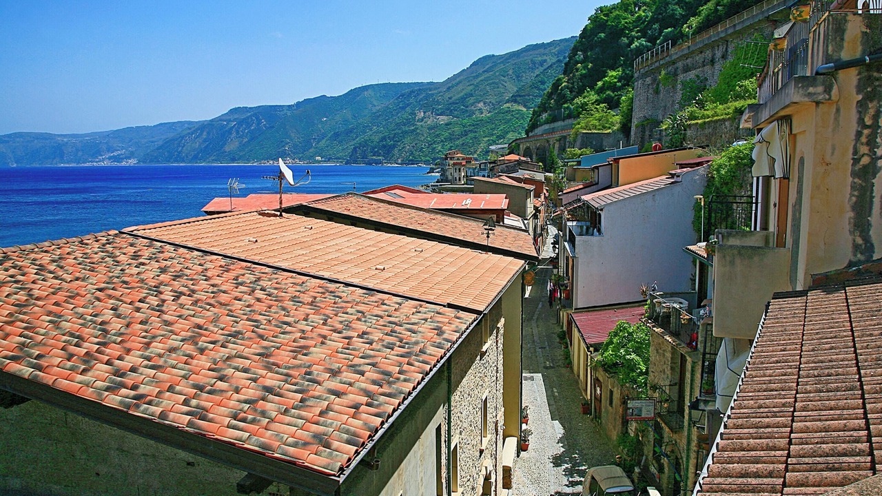 Photo of Others in Scilla