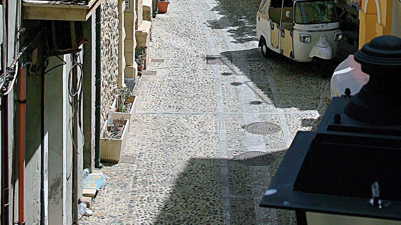 Photo of Others in Scilla