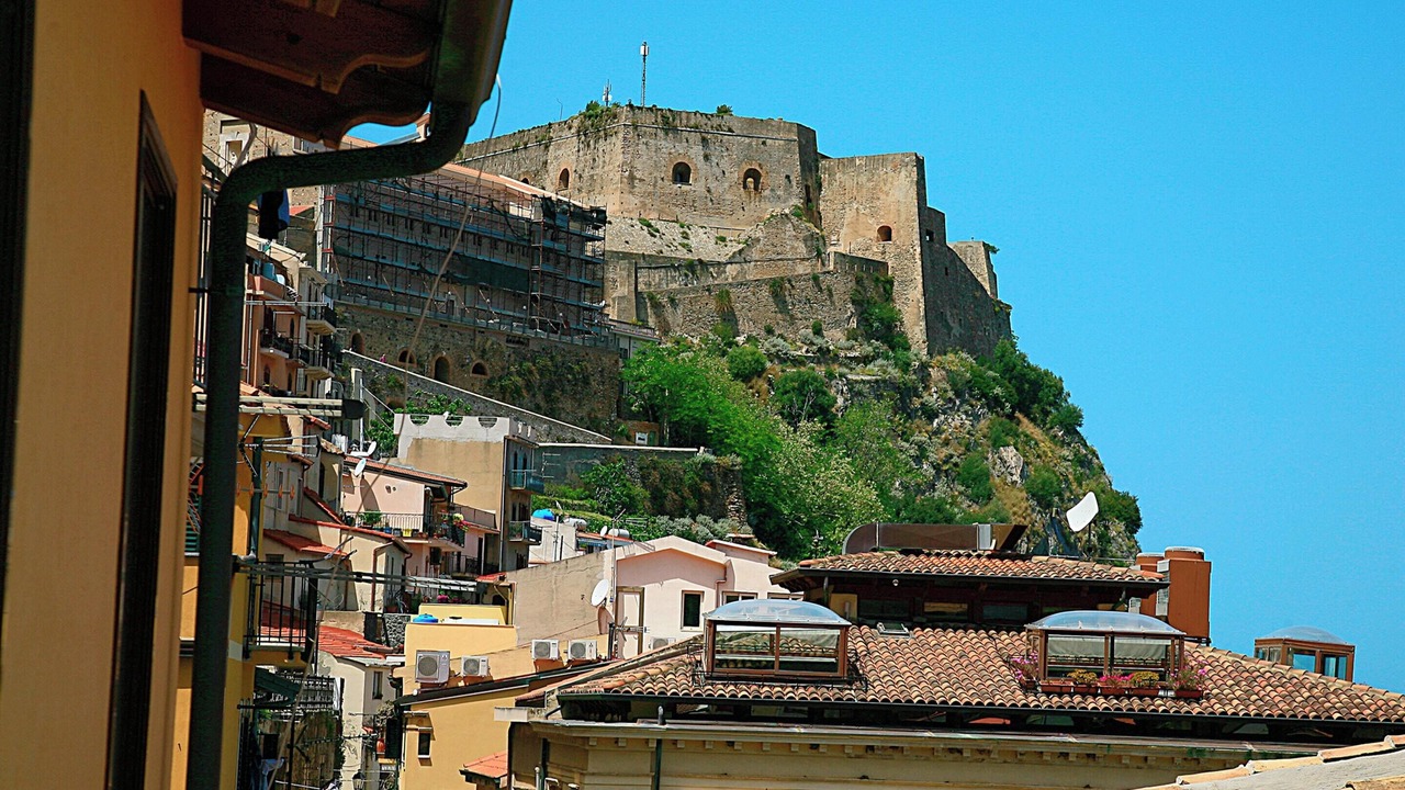 Photo of Others in Scilla