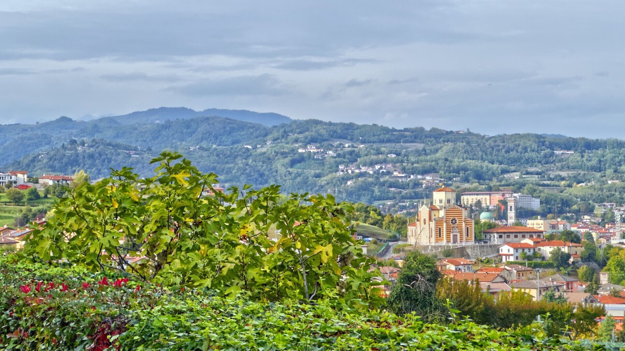 Photo of Others in Arzignano