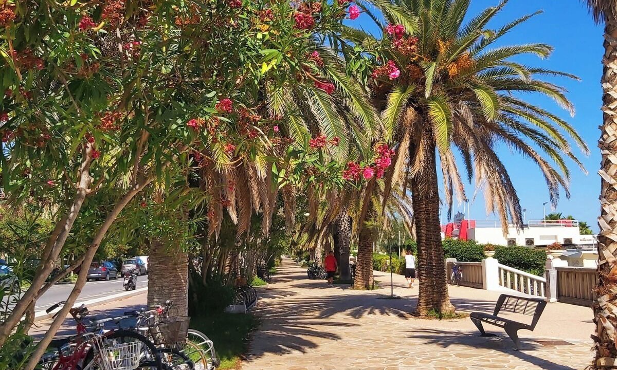 Photo of Others in San Benedetto del Tronto