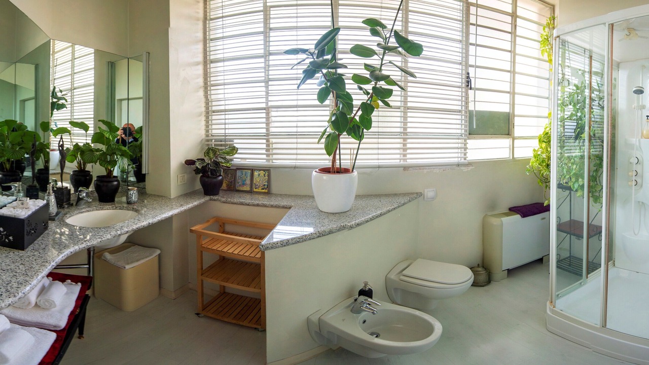 Photo of Bathroom in Barona