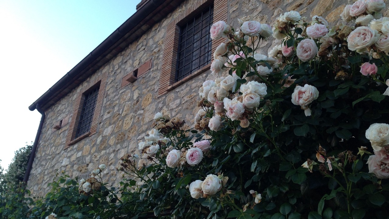Photo of Outdoor in Penna in Teverina