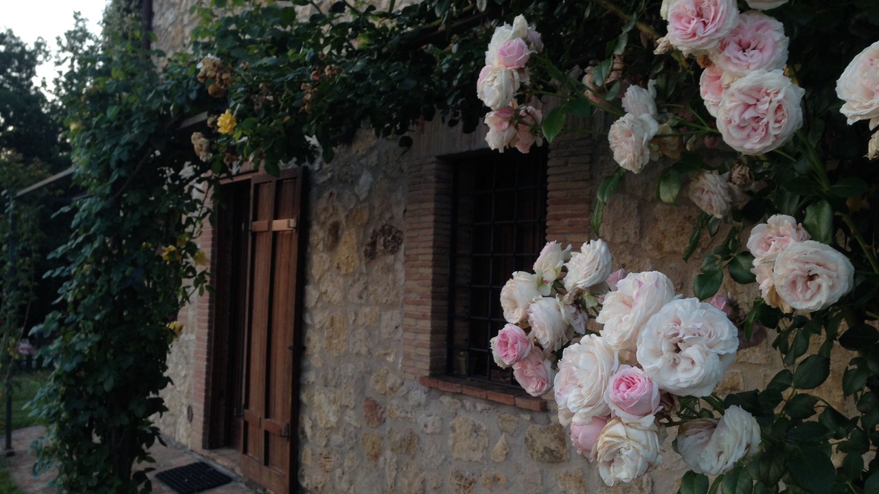 Photo of Outdoor in Penna in Teverina