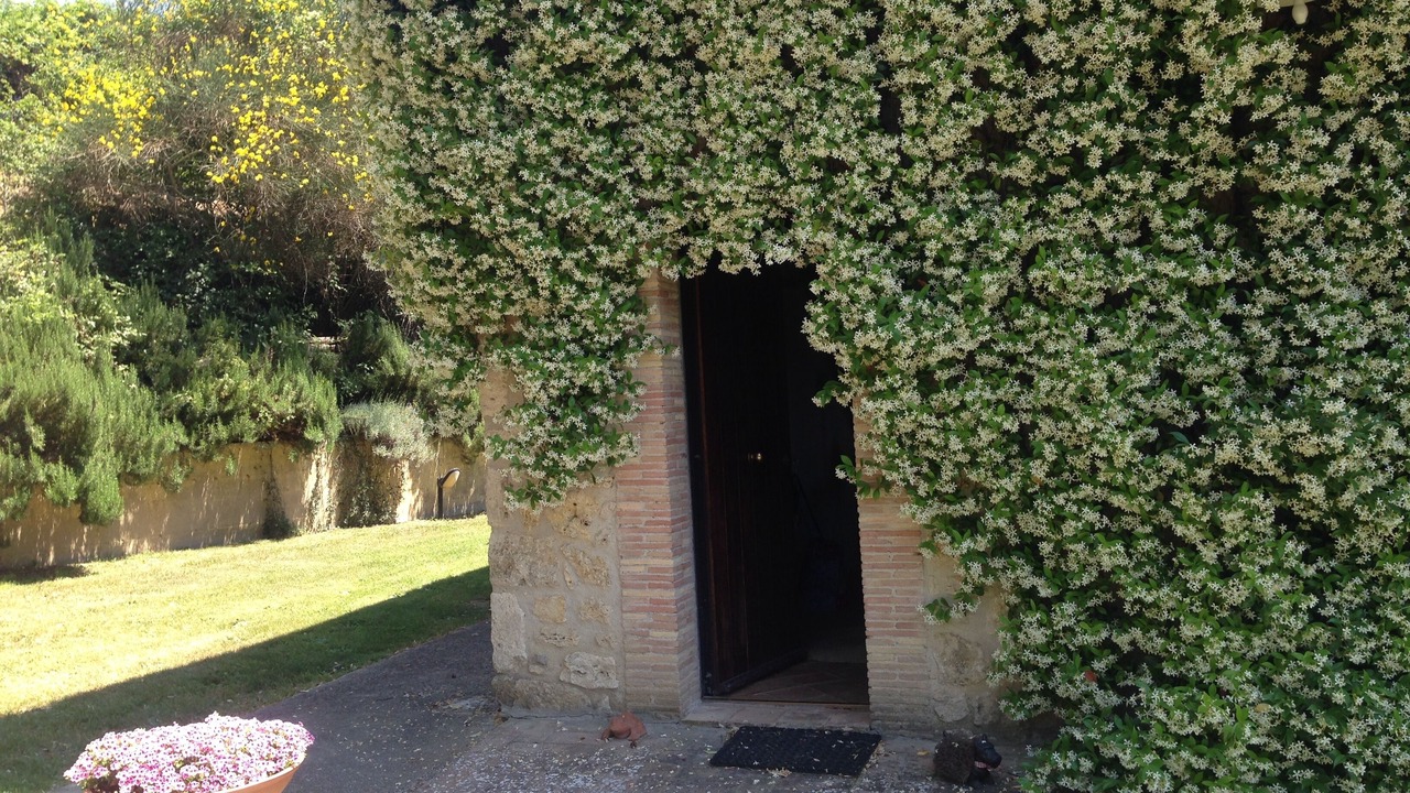 Photo of Outdoor in Penna in Teverina
