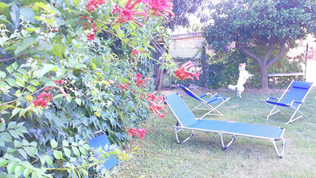 Photo of Outdoor in Canosa Sannita