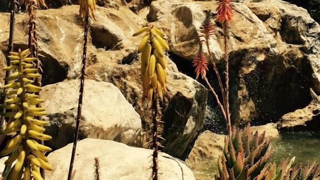 Photo of Outdoor in Amantea